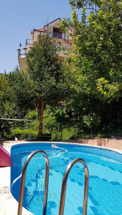 #Ioniahouse Surrel Villa Tirana Zewnętrze zdjęcie