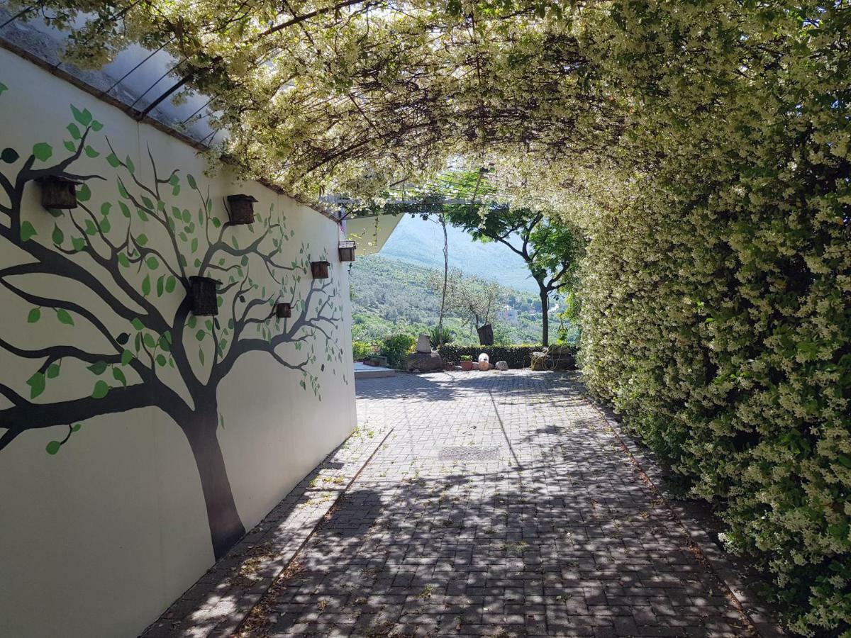 #Ioniahouse Surrel Villa Tirana Zewnętrze zdjęcie